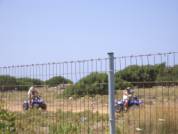 21. Mallia perimeter fence June 2005